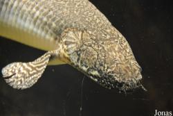 Exotarium Oberhof