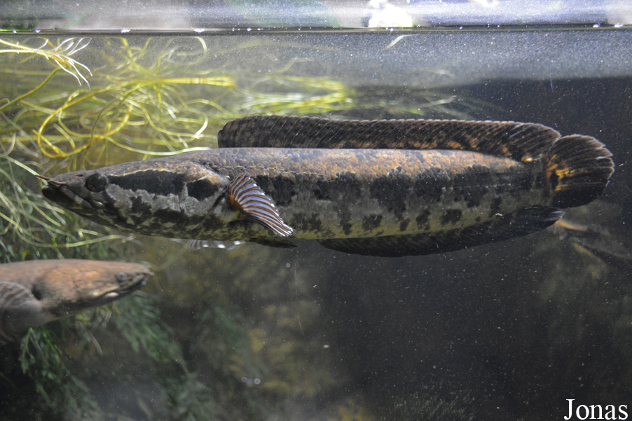 Exotarium Oberhof