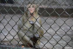 Jardín Zoológico de La Habana