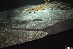 National Aquarium