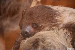 Tierpark Nordhorn