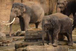 Wildlands Adventure Zoo Emmen