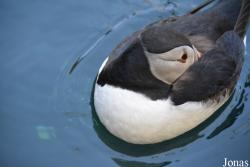 Tierpark Dählhölzli