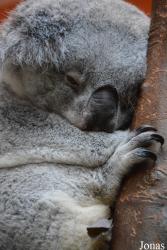 Zoo Antwerpen