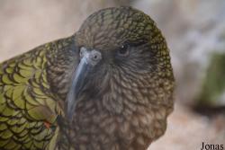 Zoo Antwerpen