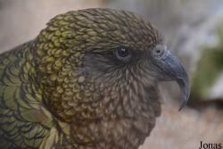 Zoo Antwerpen