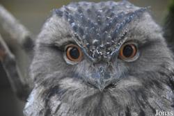 Zoo Antwerpen