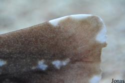 Zoo Antwerpen