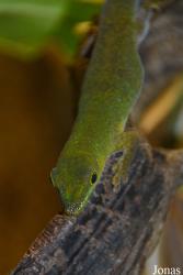 Zoo Antwerpen