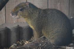 Tierpark Donnersberg