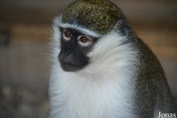 Tierpark Donnersberg
