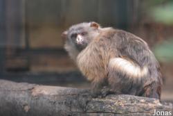Zoologischer Garten Magdeburg