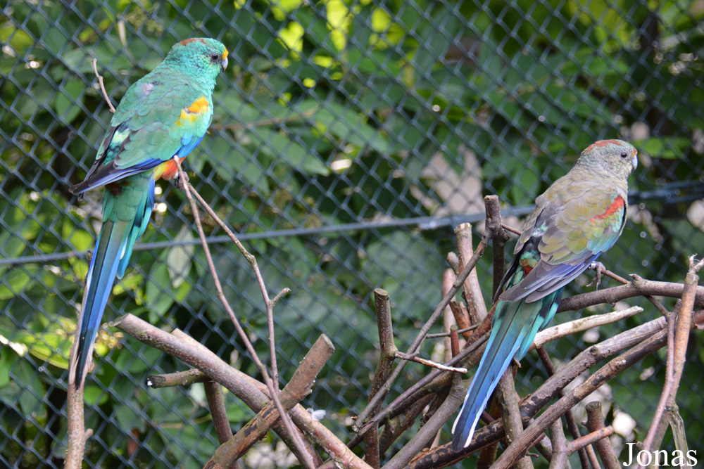 Zoologischer Garten Magdeburg