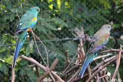 Zoologischer Garten Magdeburg