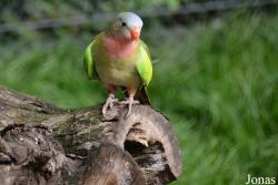 Zoologischer Garten Magdeburg