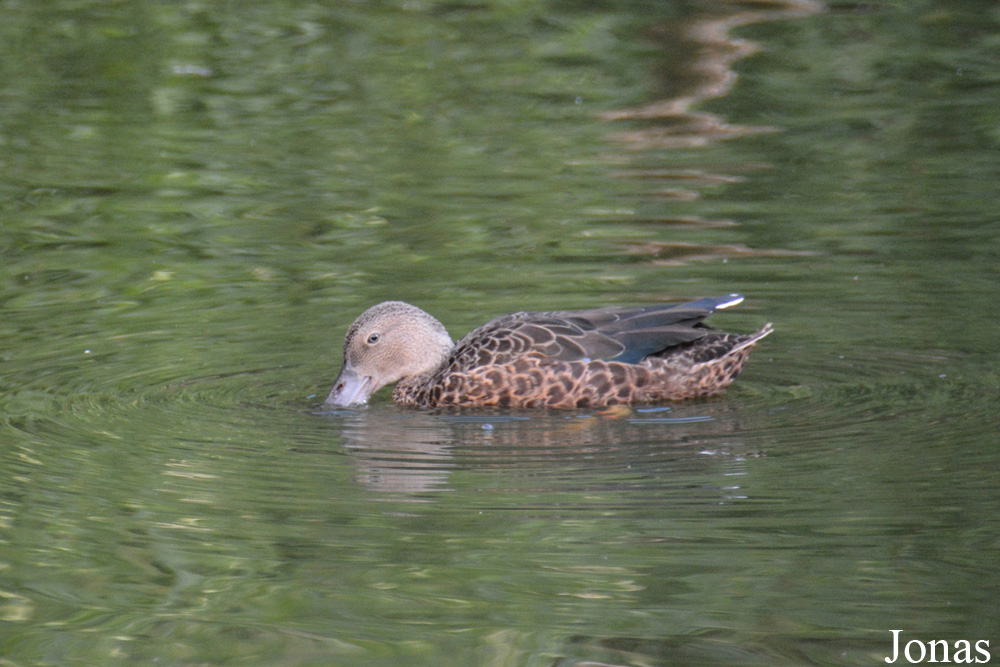 Zoologischer Garten Magdeburg