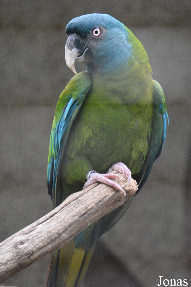 Zoologischer Garten Magdeburg