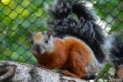 Zoologischer Garten Magdeburg