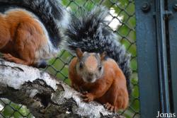 Zoologischer Garten Magdeburg
