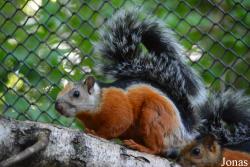 Zoologischer Garten Magdeburg