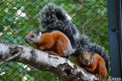 Zoologischer Garten Magdeburg