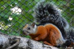 Zoologischer Garten Magdeburg