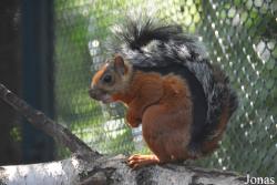 Zoologischer Garten Magdeburg