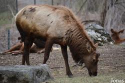 Queens Zoo