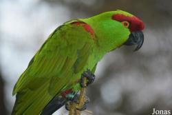 Queens Zoo