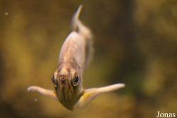 Sankt-Peterburg Oceanarium