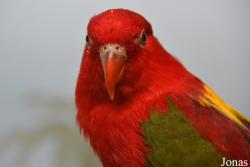Sankt-Peterburg EKzoopark RIO