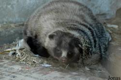 Qingdao Zoo