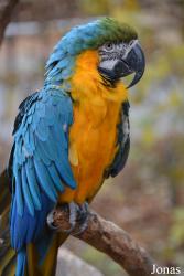 Vogel- und Naturschutztierpark Herborn