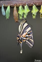 Tiergarten Schönbrunn