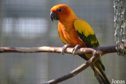 Vogelpark Ambigua