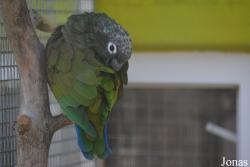 Vogelpark Ambigua