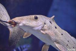 Zoo Wrocław