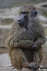 Zoo Wrocław
