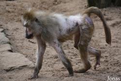 Zoo Wrocław