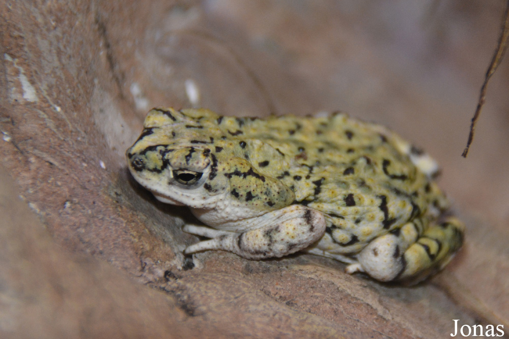 Zoo Wrocław