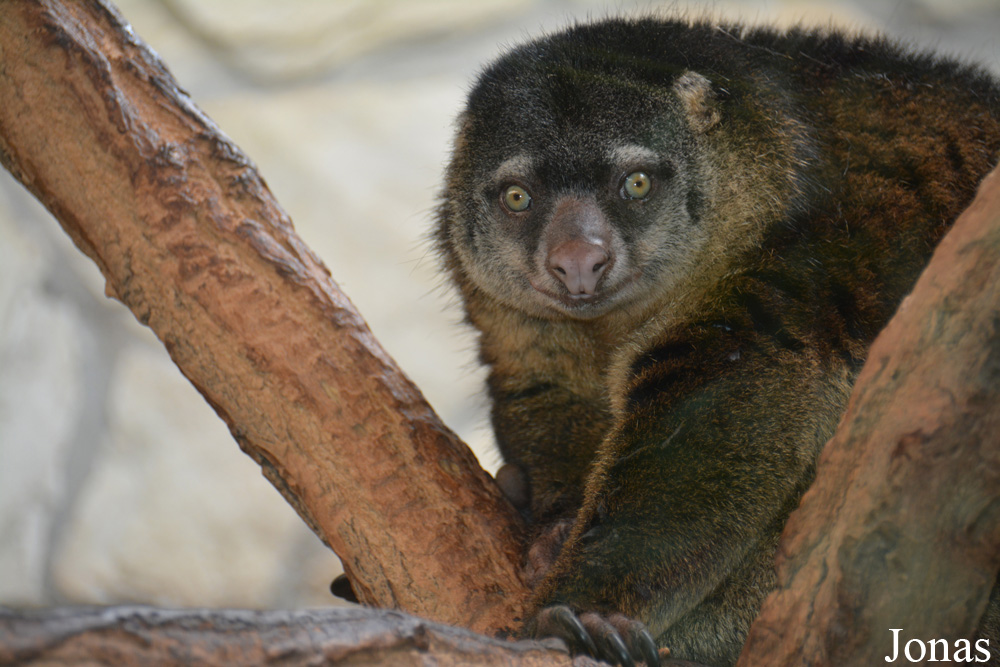 Zoo Wrocław