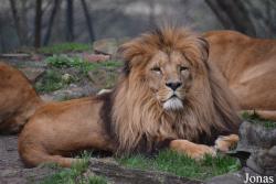 Zoo Wrocław