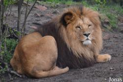 Zoo Wrocław