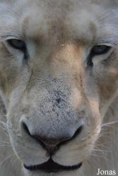 Zoo de Bordeaux-Pessac
