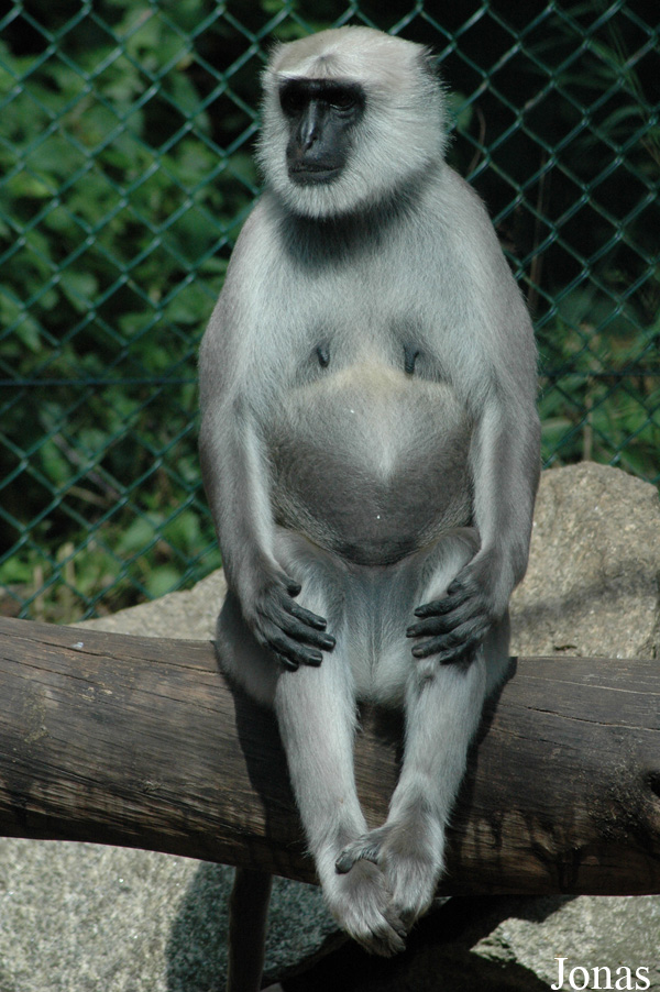 Serengeti Safaripark Hodenhagen