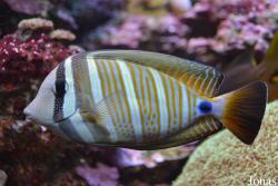 Getxo Aquarium