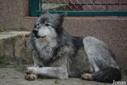 Zoološki vrt Grada Beograda
