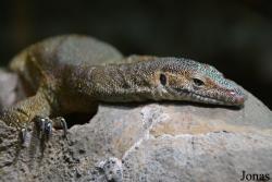 Tierpark + Fossilium Bochum