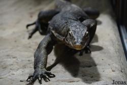 Tierpark + Fossilium Bochum