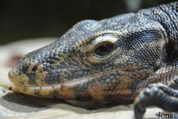 Tierpark + Fossilium Bochum